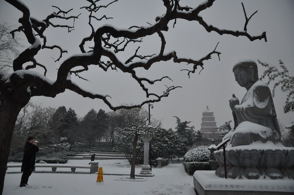 陕西西安,大雁塔 月 日