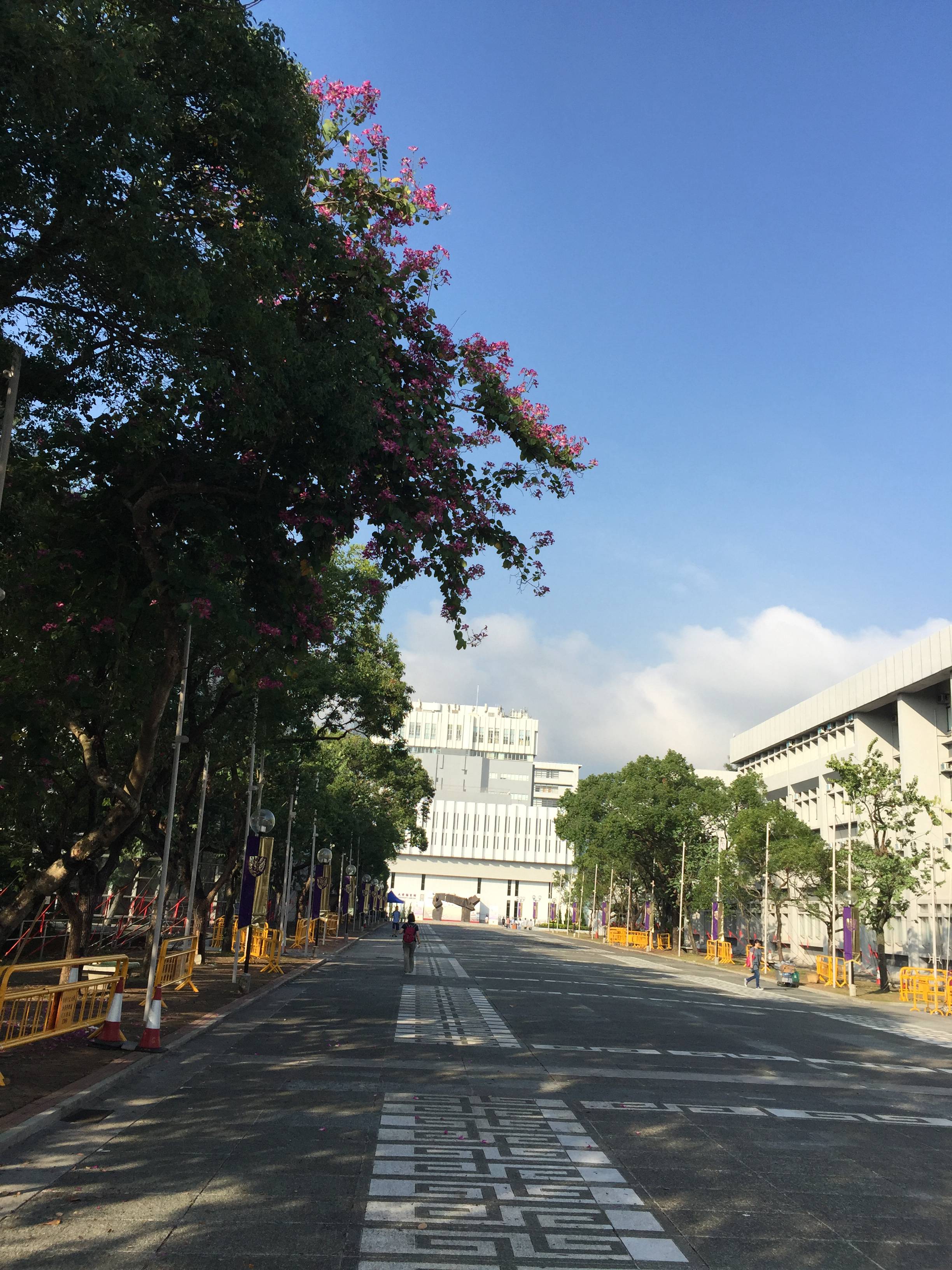 2016年北京大學圖書館公佈的《中文核心期刊目錄》有哪些目